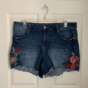 Terra & Sky Denim Shorts